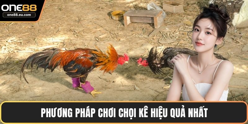 Phương pháp chơi chọi kê hiệu quả nhất